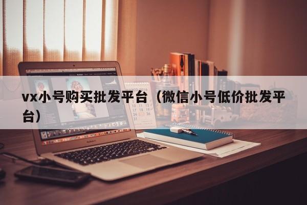 vx小号购买批发平台（微信小号低价批发平台）
