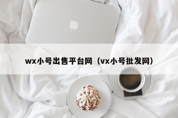 wx小号出售平台网（vx小号批发网）