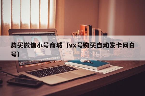 购买微信小号商城（vx号购买自动发卡网白号）