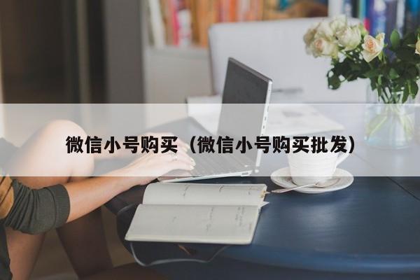 微信小号购买（微信小号购买批发）