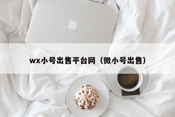 wx小号出售平台网（微小号出售）