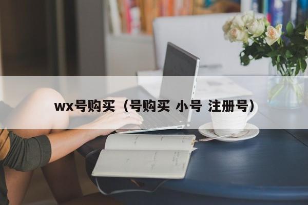 wx号购买（号购买 小号 注册号）