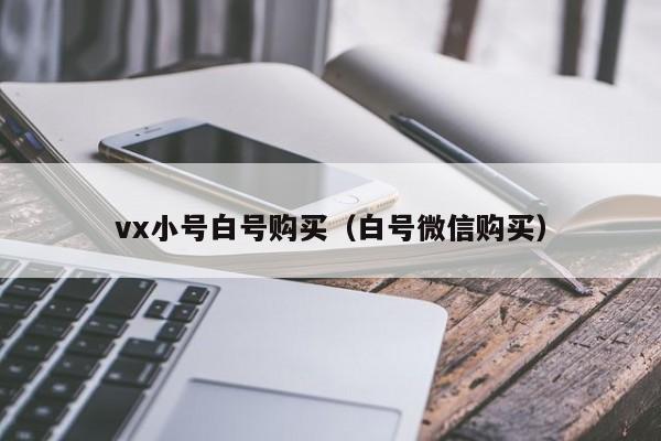 vx小号白号购买（白号微信购买）