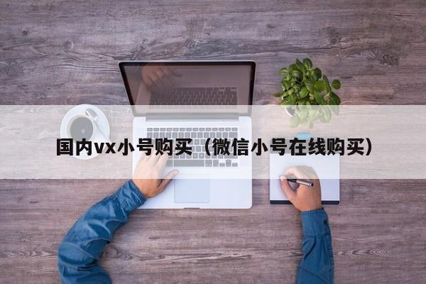 国内vx小号购买（微信小号在线购买）