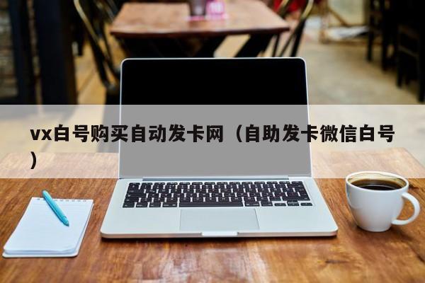 vx白号购买自动发卡网（自助发卡微信白号）