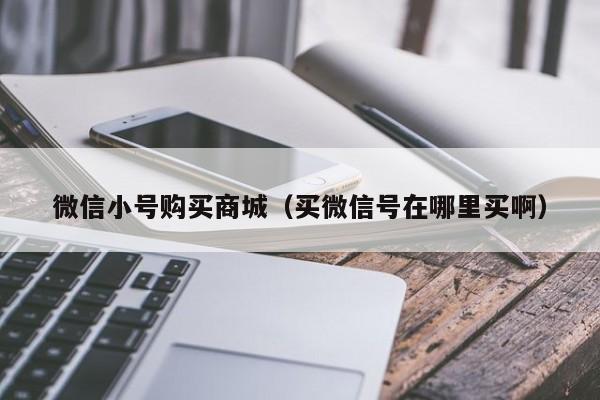 微信小号购买商城（买微信号在哪里买啊）