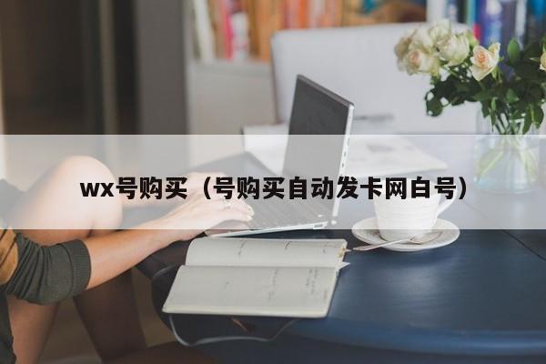 wx号购买（号购买自动发卡网白号）