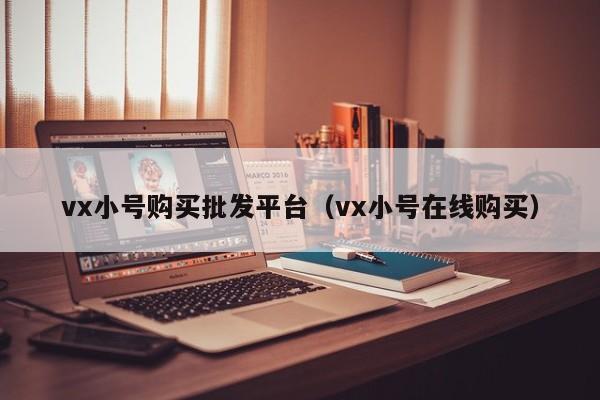 vx小号购买批发平台（vx小号在线购买）