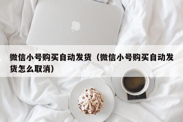 微信小号购买自动发货（微信小号购买自动发货怎么取消）