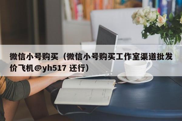 微信小号购买（微信小号购买工作室渠道批发价飞机@yh517 还行）