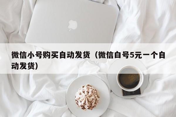 微信小号购买自动发货（微信白号5元一个自动发货）