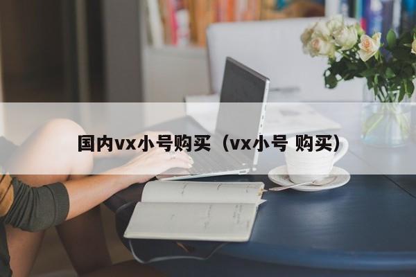 国内vx小号购买（vx小号 购买）