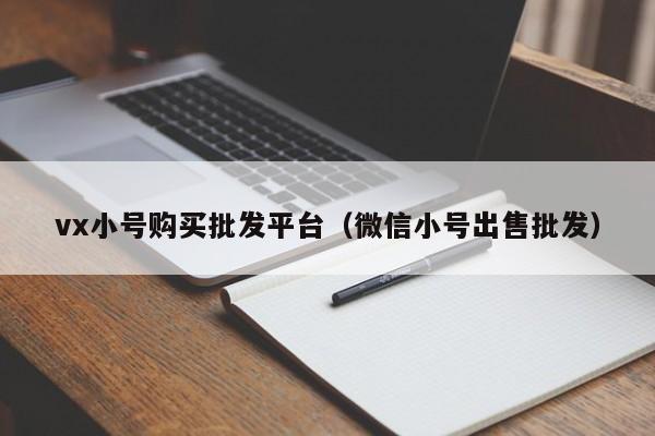 vx小号购买批发平台（微信小号出售批发）